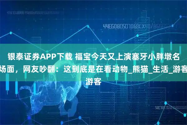 银泰证券APP下载 福宝今天又上演塞牙小胖墩名场面,网友吵翻:这到底是在看动物_熊猫_生活_游客