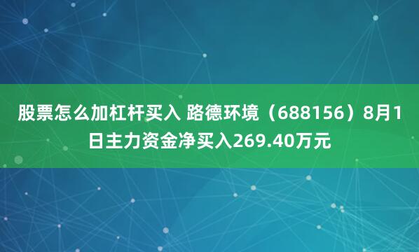 股票怎么加杠杆买入 路德环境（688156）8月1日主力资金净买入269.40万元